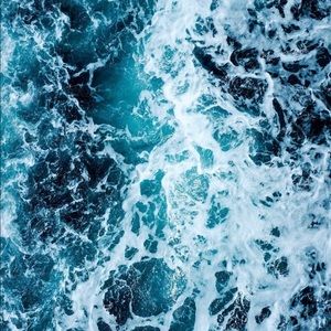 Meet your Posher, Mia